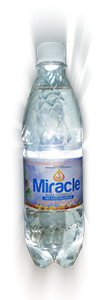 Вода питьевая негазированная 'MAQUA' обогащенная янтарной кислотой Isolife Aqua Miracle 0,5л 