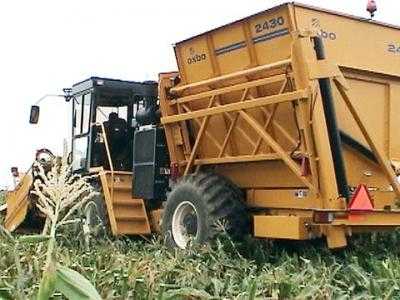 Комбайн для уборки сладкой кукурузы и кукурузы на семена OXBO 2430