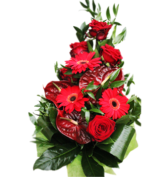 Букет в красных тонах из 3 антуриумов, 5 роз, 3 гербер, большого количества зелени