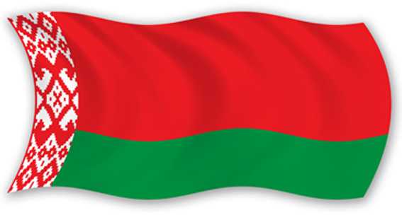 Государственный флаг Республики Беларусь уличный (односторонняя печать Бергер) - 100х200 см