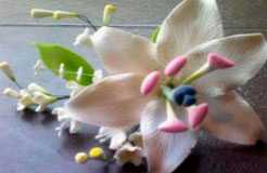Изделия в виде цветов из мастики (цветочная композиция) 11110