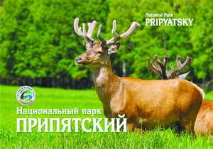 Экскурсия в Национальный парк Припятский
